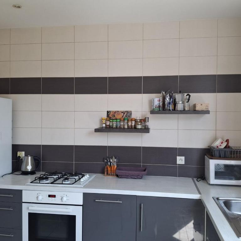 Appartement 42m proche parc Blandan et Rhône - Appartement - 5