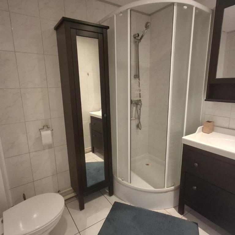 Appartement 42m proche parc Blandan et Rhône - Appartement - 9