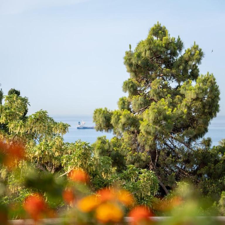 TGNRomanaHistoriCenterBeachFamilyRelaxWifiAc23 - Apartamento de 3 dormitorios - 3
