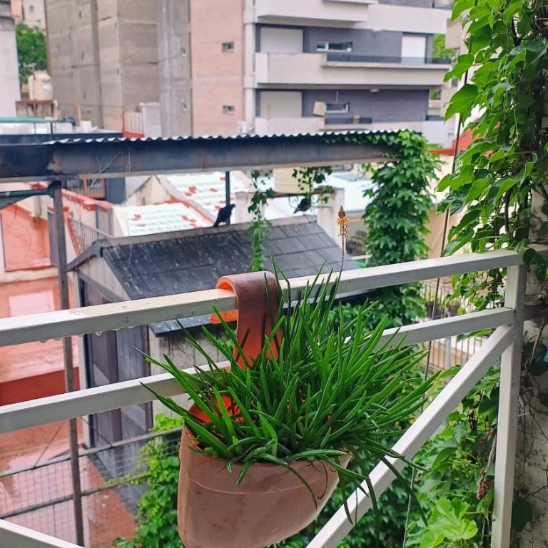 ALOJAMIENTOS ROSARIO! A media cuadra de la principal Av Boulevard Oroño! - Apartamento de 1 dormitorio - 25