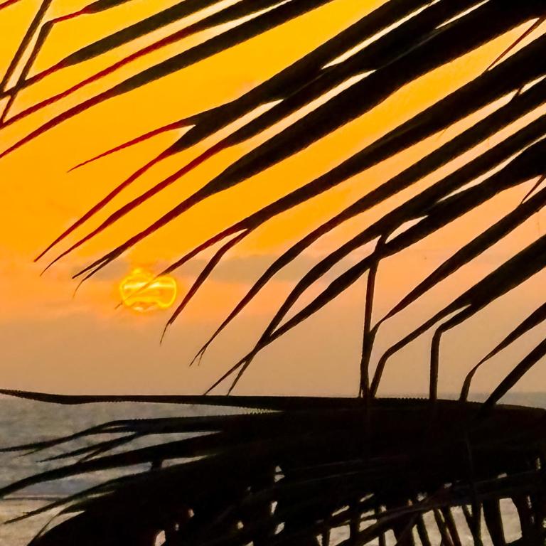 Coffee & Beach Apartment - Apartamento de 2 dormitorios - 24