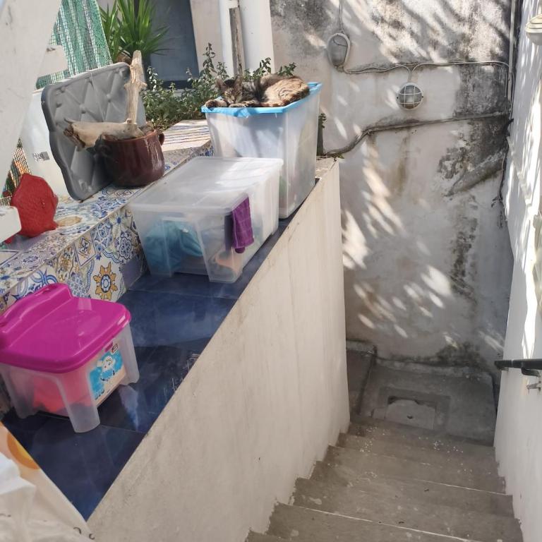 Maison Laura - Appartamento con 1 Camera da Letto - 9