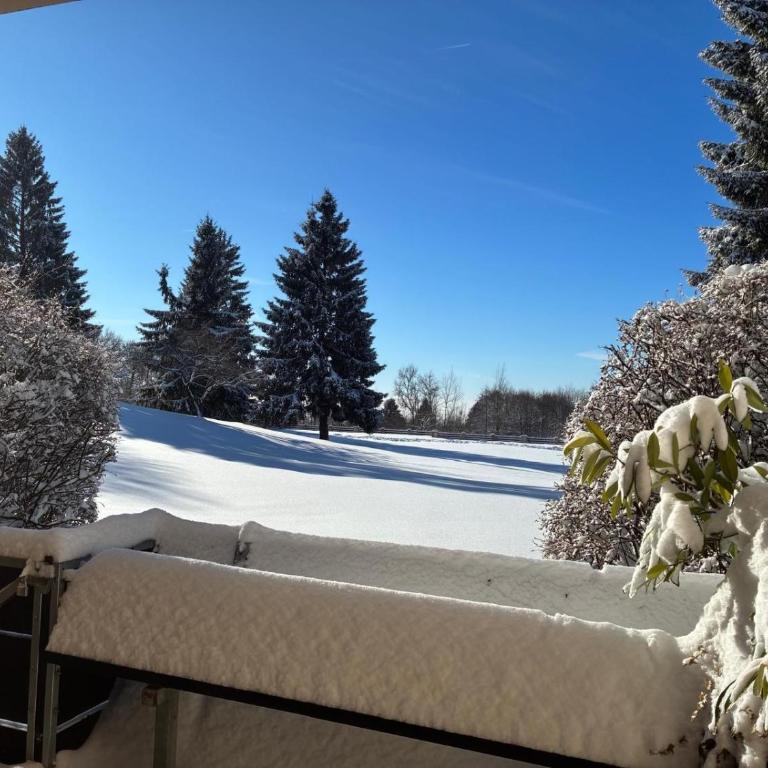 Komfortable Wohnungen und Studio in Sankt Englmar - Studio mit Gartenblick - 9
