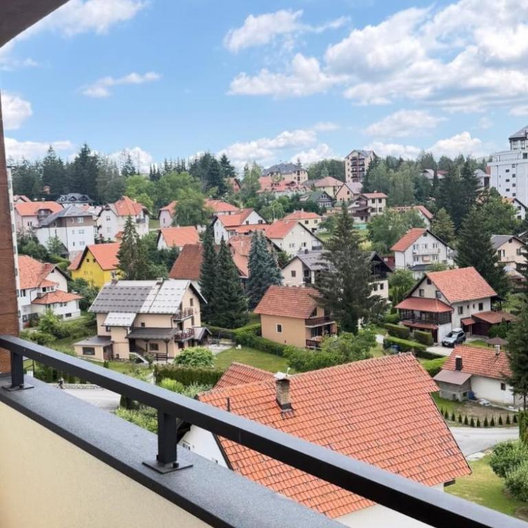 The Forest Prestige Zlatibor - One-Bedroom Apartment - 1