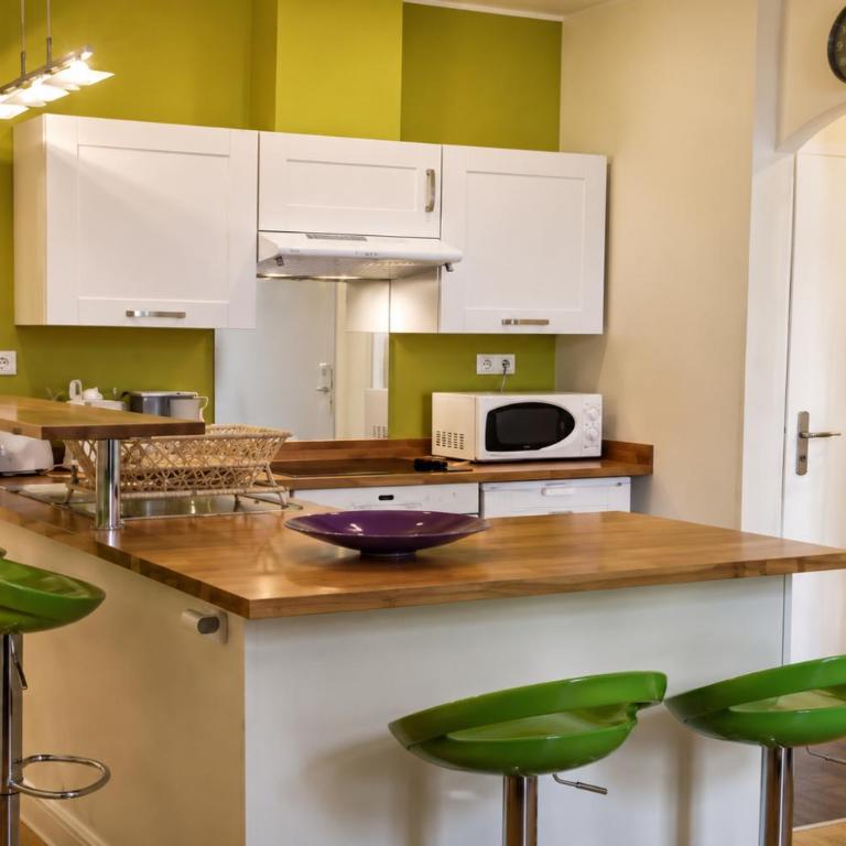 Barla 3 - a spacious one bedroom apartment near Place Garibaldi - Chambre Double - 15