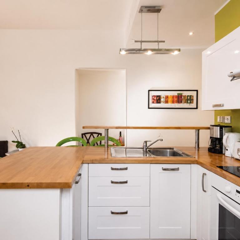Barla 3 - a spacious one bedroom apartment near Place Garibaldi - Chambre Double - 12