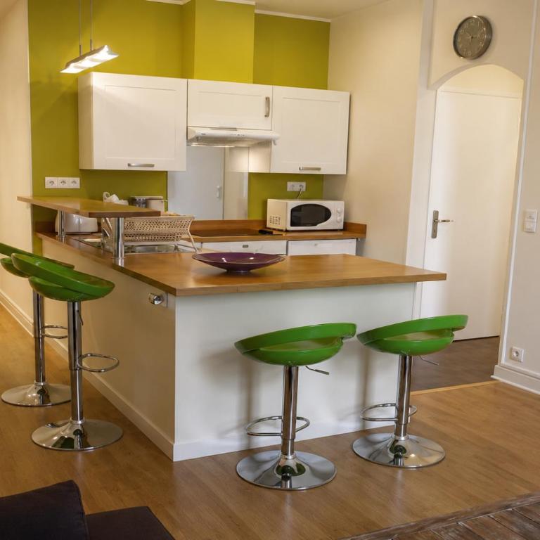 Barla 3 - a spacious one bedroom apartment near Place Garibaldi - Chambre Double - 11