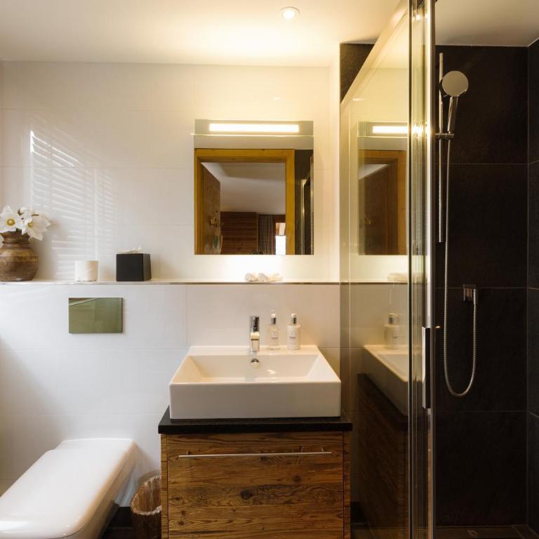 Bergwelt Grindelwald - Alpine Design Resort - Wald Alpine Panorama Residence - 4