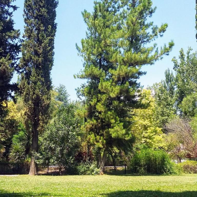Casa quinta con gran parque y piscina en zona privilegiada -"De Barro y Caña" - Casa de 2 dormitorios - 18