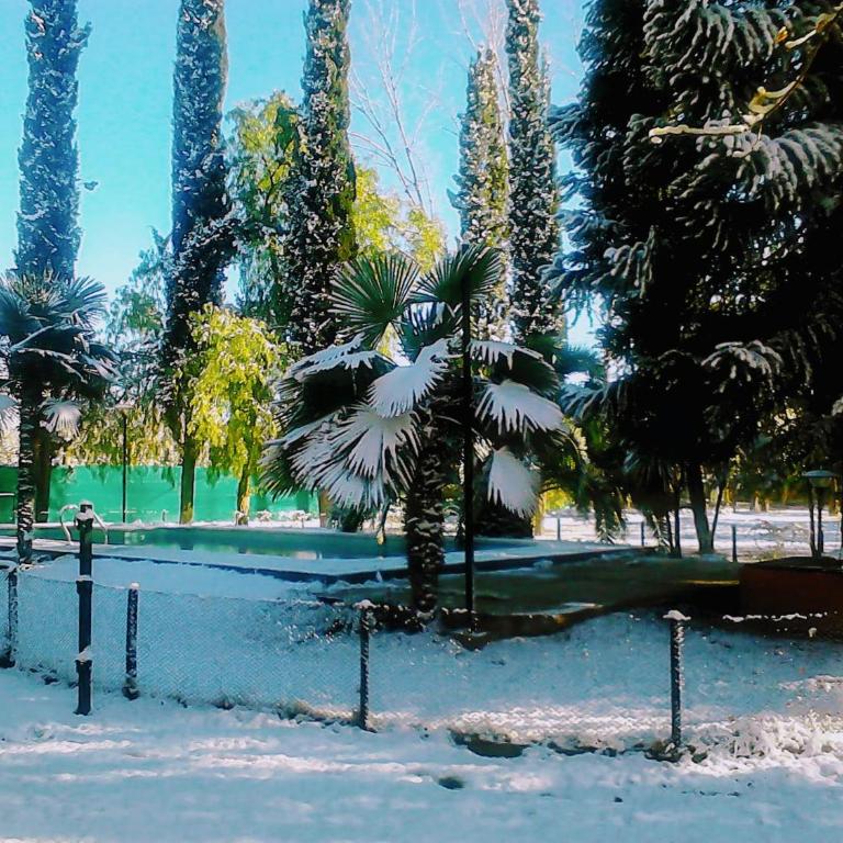Casa quinta con gran parque y piscina en zona privilegiada -"De Barro y Caña" - Casa de 2 dormitorios - 23