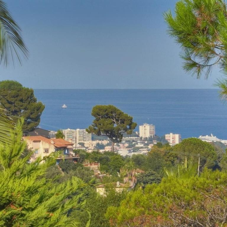 Oasis de Calme avec Piscine proche de Cannes - Villa - 17