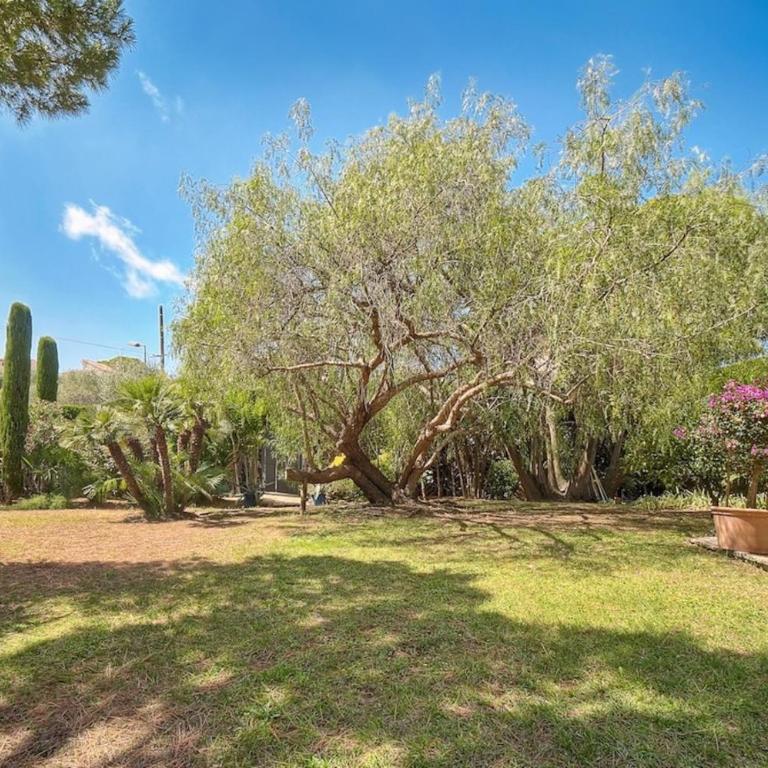 Oasis de Calme avec Piscine proche de Cannes - Villa - 36