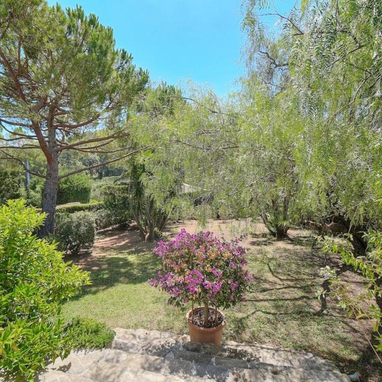 Oasis de Calme avec Piscine proche de Cannes - Villa - 42