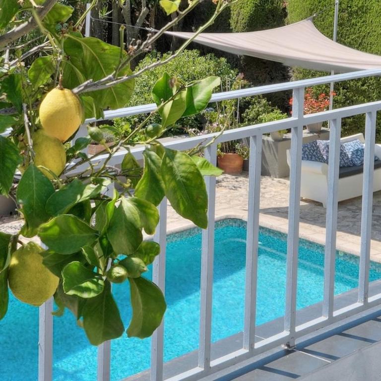 Oasis de Calme avec Piscine proche de Cannes - Villa - 54