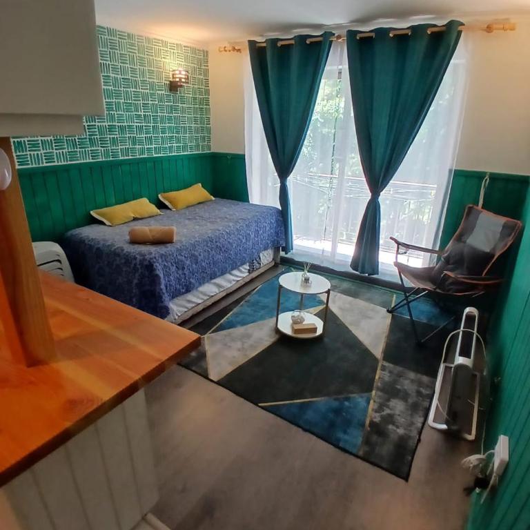 Pucon dpto - One-Bedroom Apartment - 17