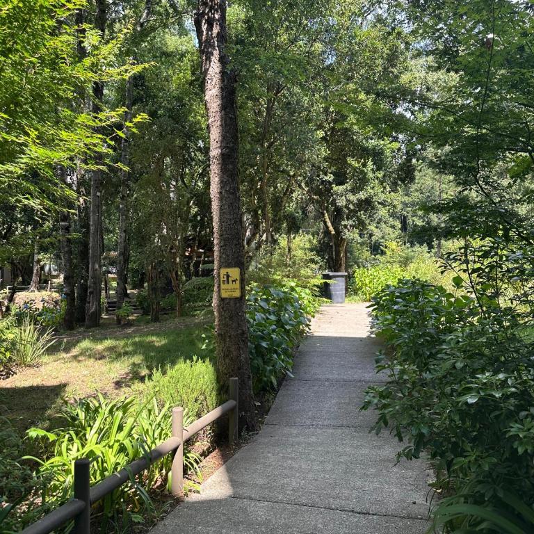 Pucon dpto - One-Bedroom Apartment - 18