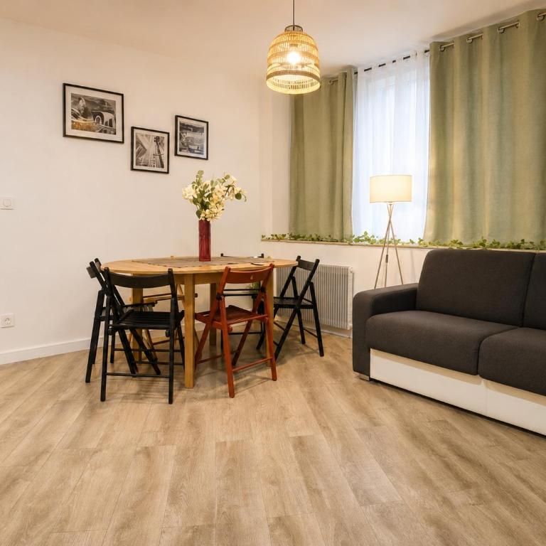 LE GRAND Appart 8 Pers Hypercentre Blois - Appartement 3 Chambres - 21
