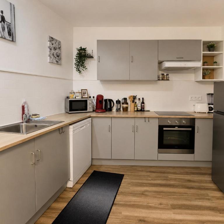 LE GRAND Appart 8 Pers Hypercentre Blois - Appartement 3 Chambres - 14