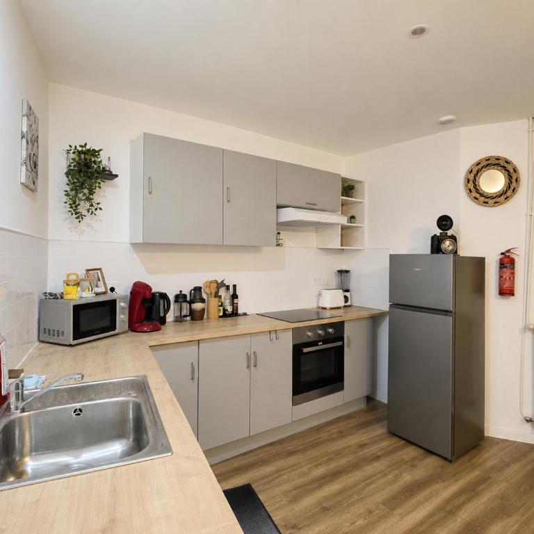 LE GRAND Appart 8 Pers Hypercentre Blois - Appartement 3 Chambres - 22