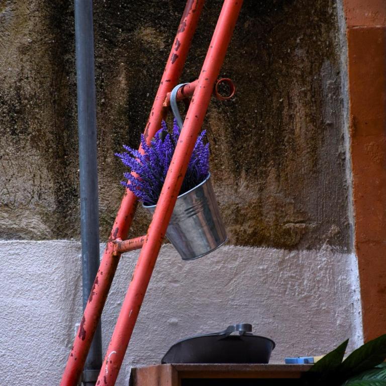 Genova Secret Garden - Appartamento con 1 Camera da Letto - 26