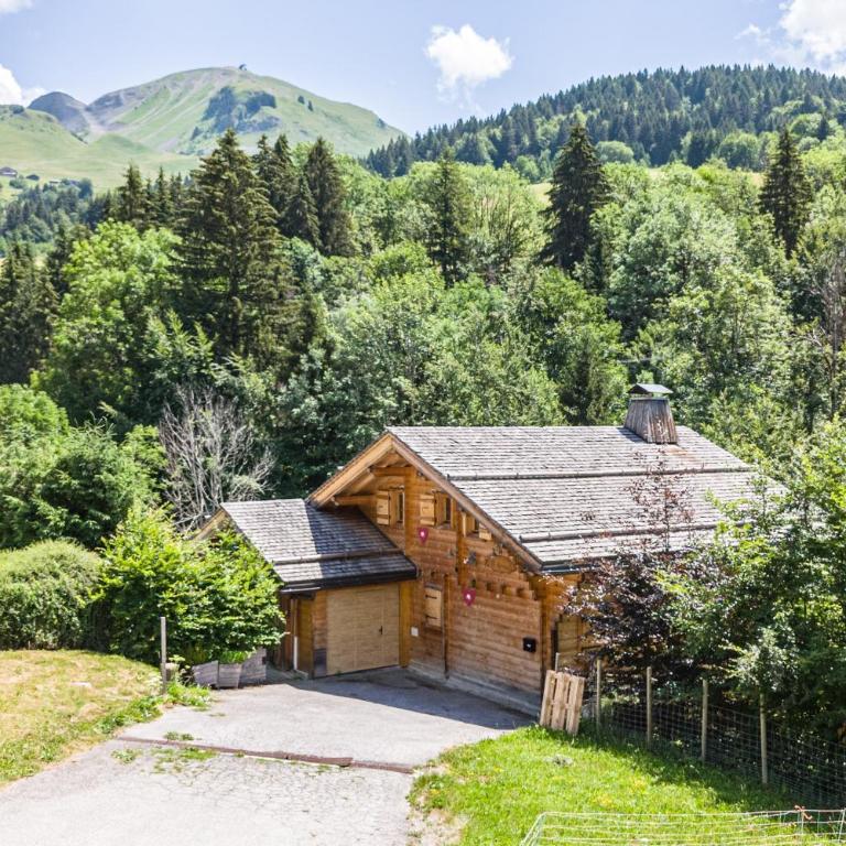 Lodge Le Chevreuil - Piscine jacuzzi et sauna - Chalet - 27