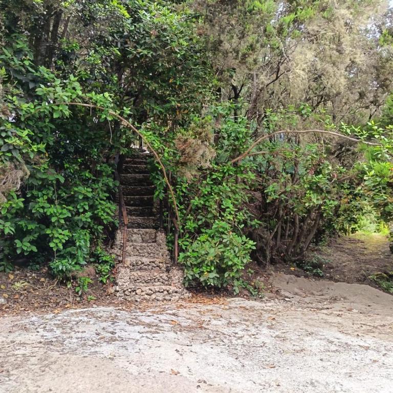 Finca El Sanguino - Casa - 10