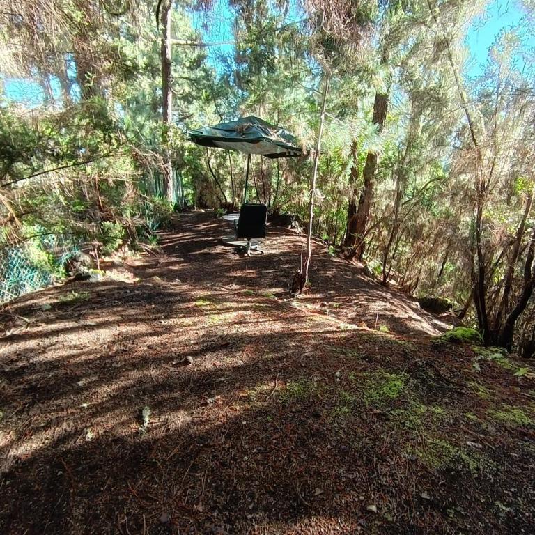 Finca El Sanguino - Casa - 12