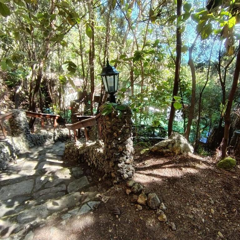 Finca El Sanguino - Casa - 13