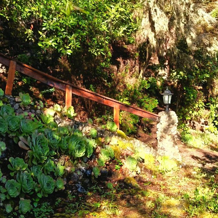Finca El Sanguino - Casa - 15