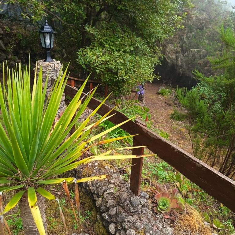 Finca El Sanguino - Casa - 17