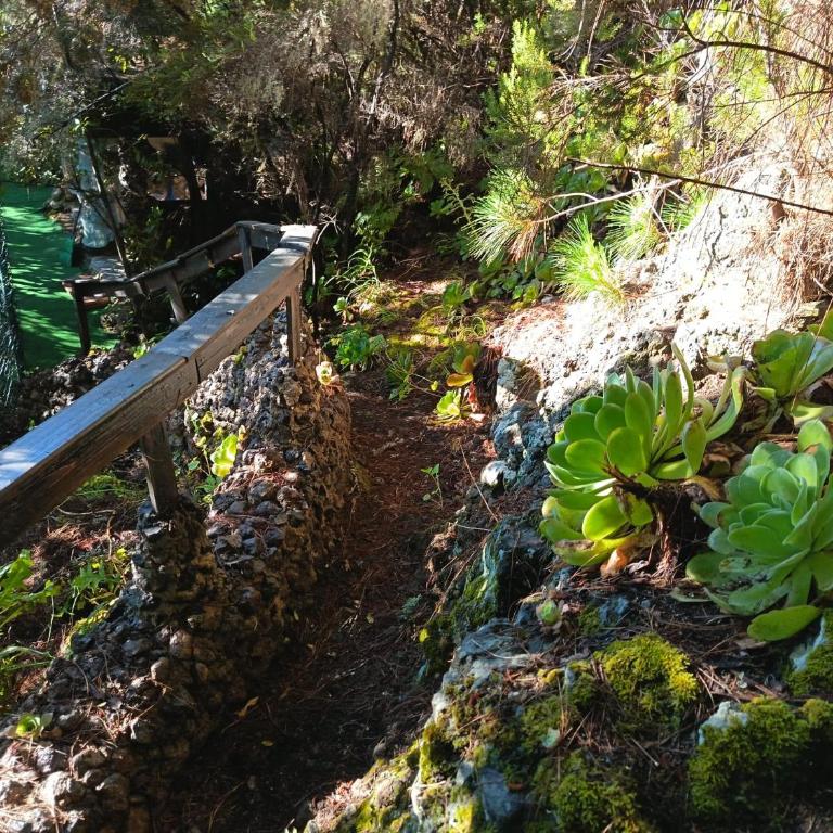 Finca El Sanguino - Casa - 19