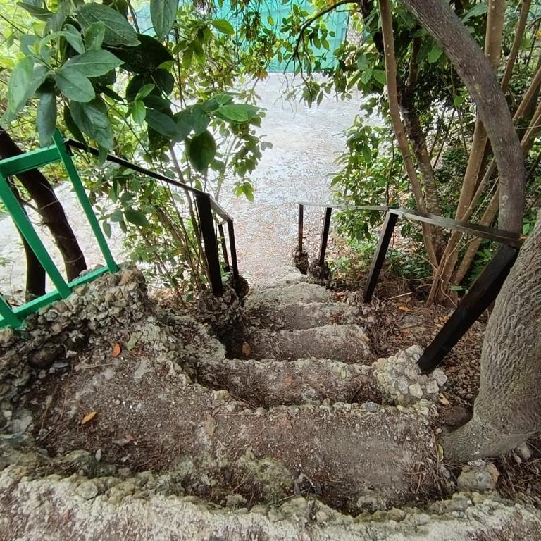 Finca El Sanguino - Casa - 22