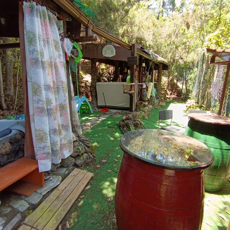 Finca El Sanguino - Casa - 5