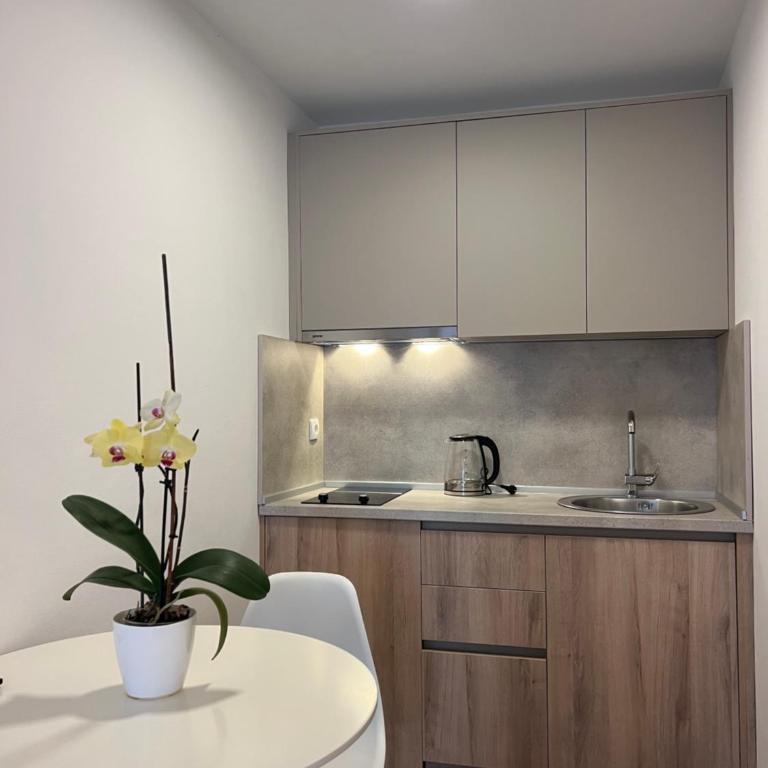 White Palace - Apartman sa 1 Spavaćom Sobom - 3