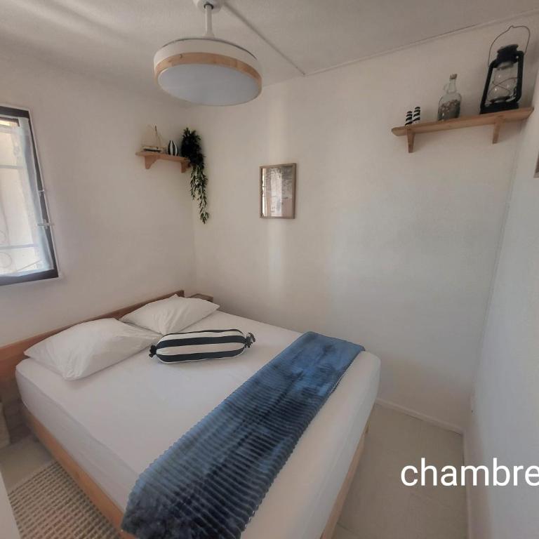 grand studio 1chambre - Appartement 1 Chambre - 2