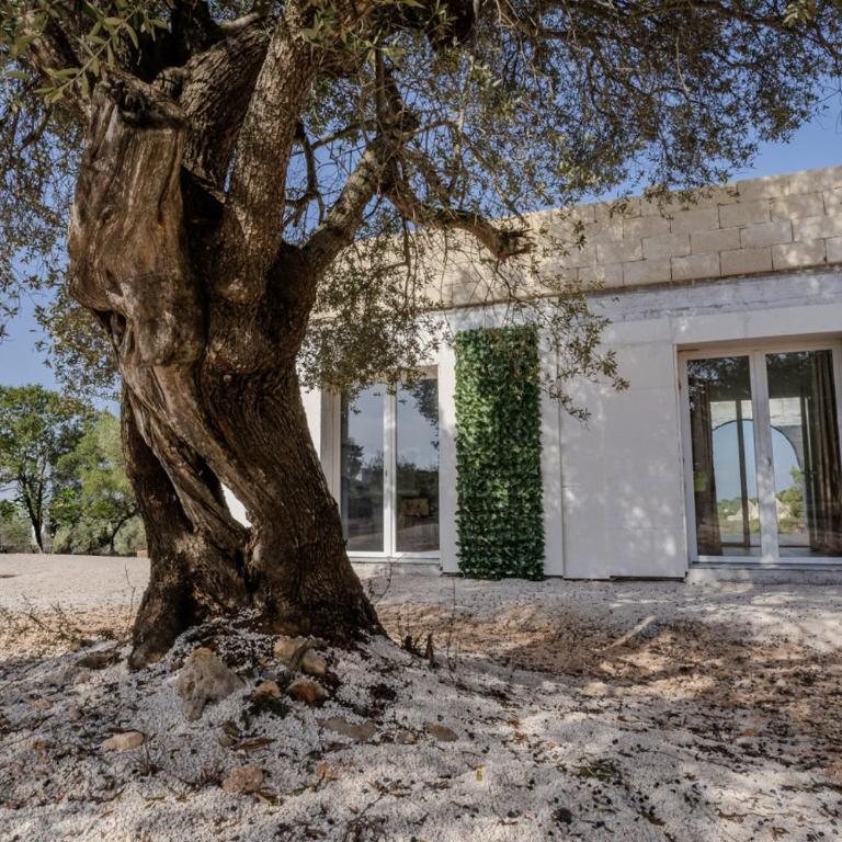 Villa tra gli Ulivi - Ostuni - Villa con 2 Camere da Letto - 1