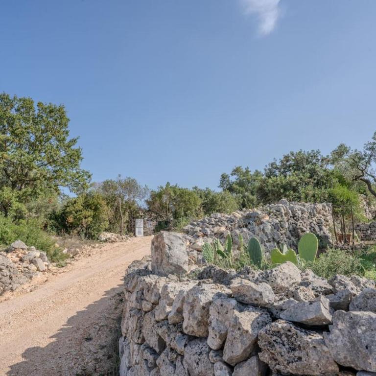Villa tra gli Ulivi - Ostuni - Villa con 2 Camere da Letto - 6