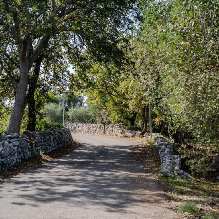 Villa tra gli Ulivi - Ostuni - Villa con 2 Camere da Letto - 15