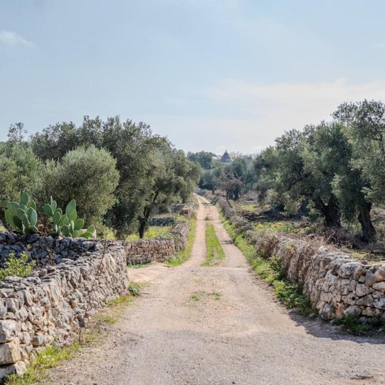 Villa tra gli Ulivi - Ostuni - Villa con 2 Camere da Letto - 25