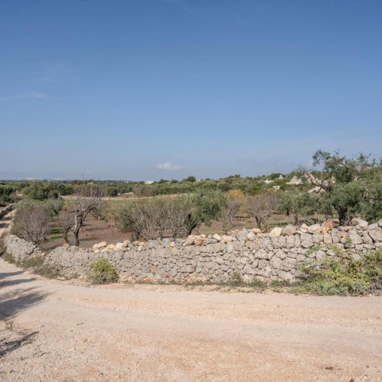 Villa tra gli Ulivi - Ostuni - Villa con 2 Camere da Letto - 40
