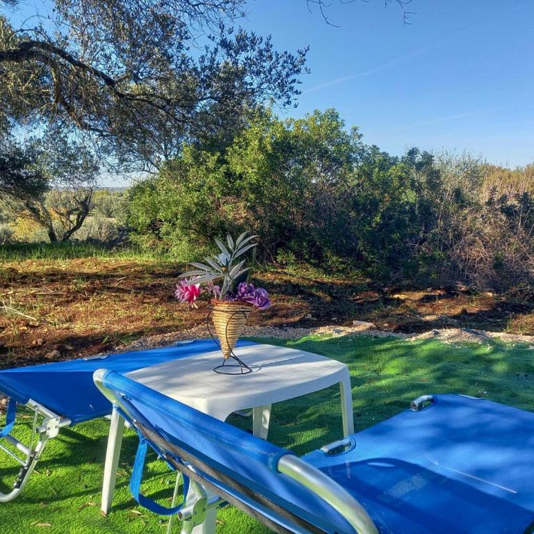 Villa tra gli Ulivi - Ostuni - Villa con 2 Camere da Letto - 48