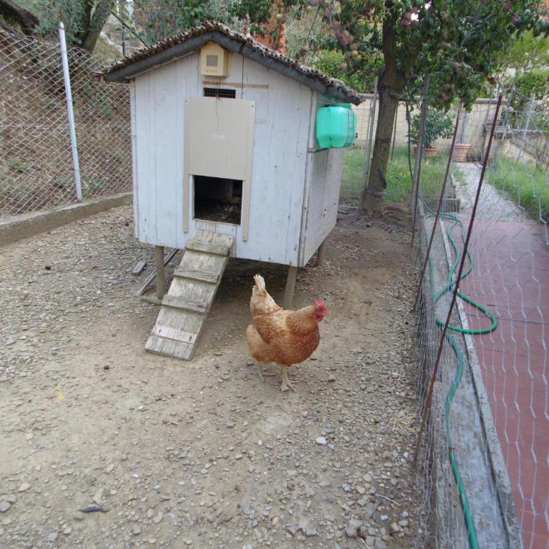 Casa Domenica - Appartamento con 2 Camere da Letto - 62