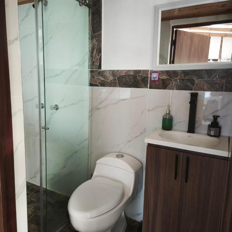 Suite Central Campestre - Casa Matula - One-Bedroom Apartment - 14