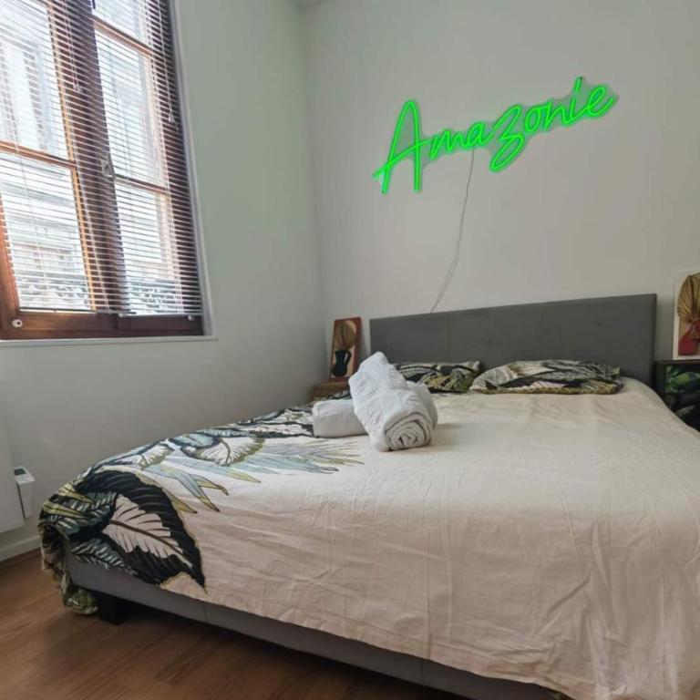 Amazonia 2 - Hypercentre - 4 pers - Appartement 2 Chambres - 3