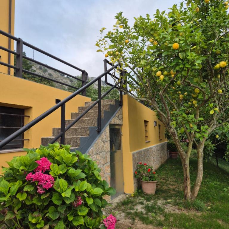 Viviendas Vacacionales Beni II - Casa de 4 dormitorios - 5
