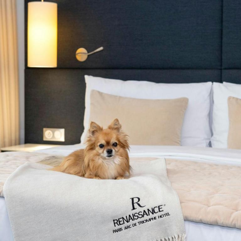 Renaissance Paris Arc de Triomphe Hotel - Chambre Familiale - 1