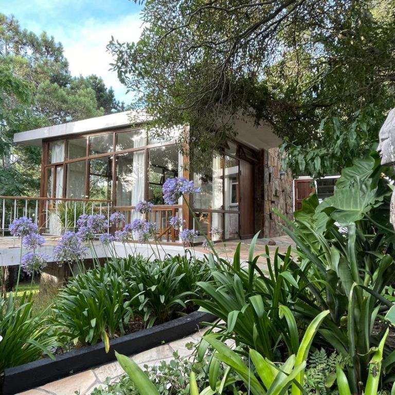 Casa Pisuri gran entorno a pasos de Playa Mansa - Casa de 4 dormitorios - 22