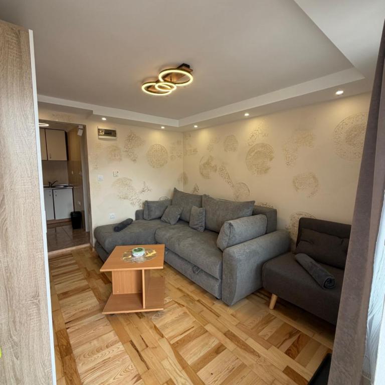 MOKA Zlatibor Apartment - Apartment mit 1 Schlafzimmer - 8