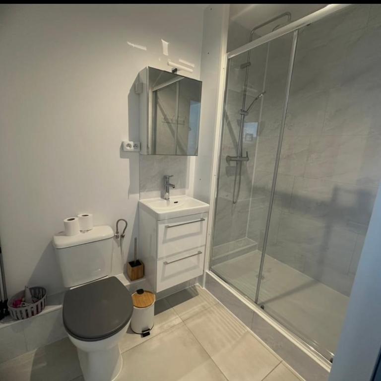 Appart T2 4 pers 50 m de la mer avec piscine - Appartement 1 Chambre - 5