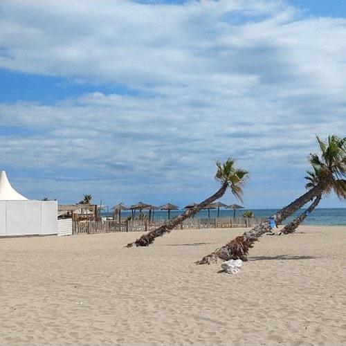 Appart T2 4 pers 50 m de la mer avec piscine - Appartement 1 Chambre - 12